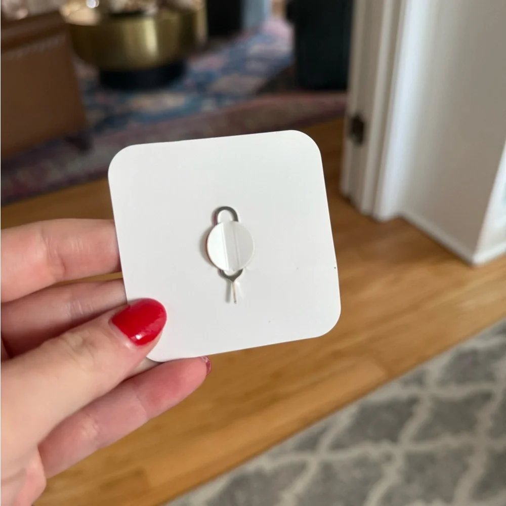 SIM Card Removal Tool Apple